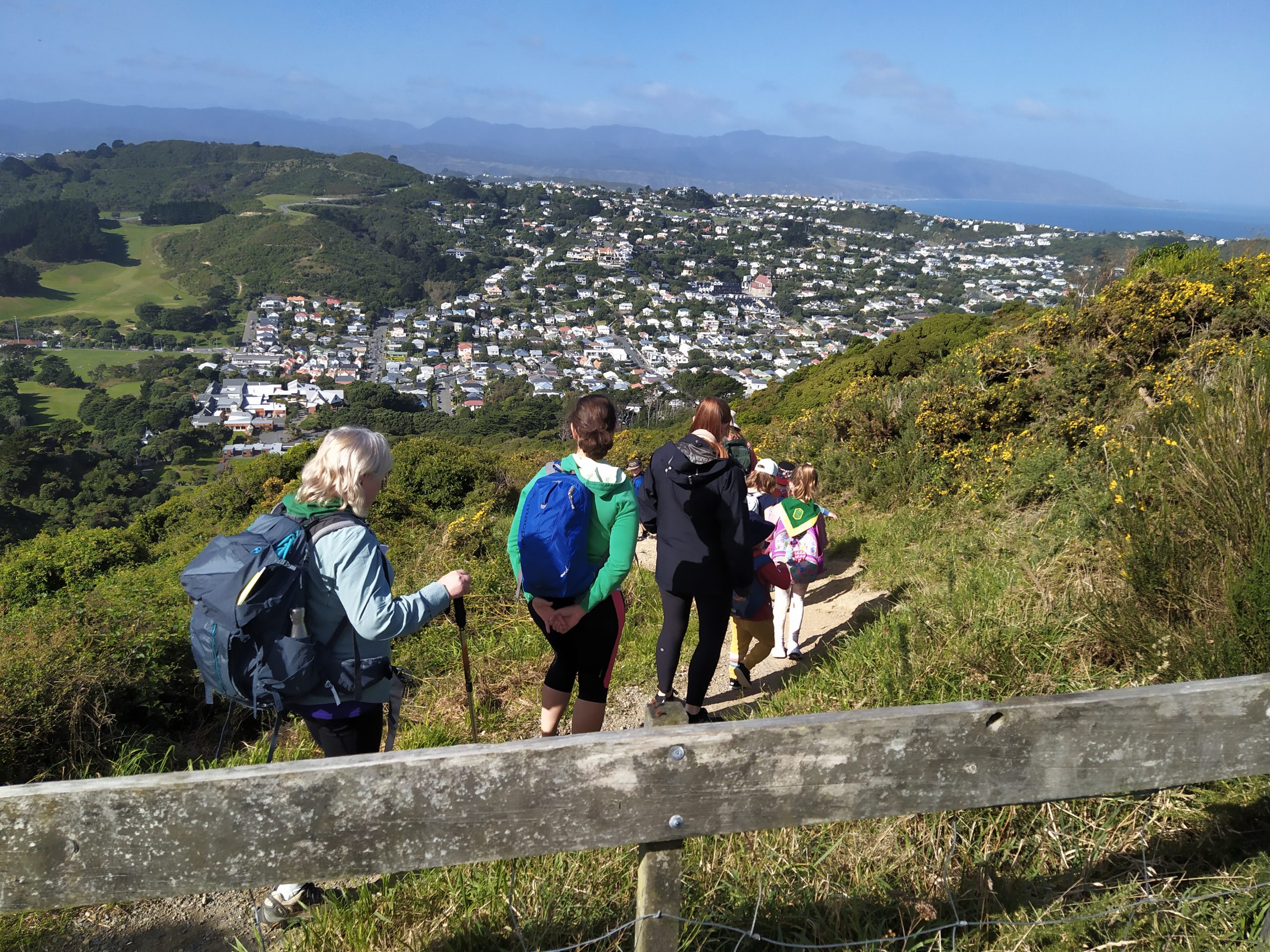 Brooklyn Scouts, Wellington | Encouraging Young People To Make Their ...